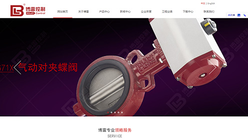 博雷（天津）控制系统制造有限公司