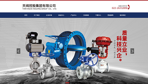 天阀控股集团有限公司