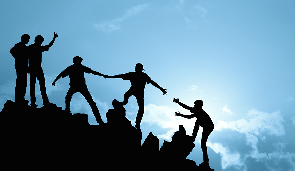 专业的创作团队